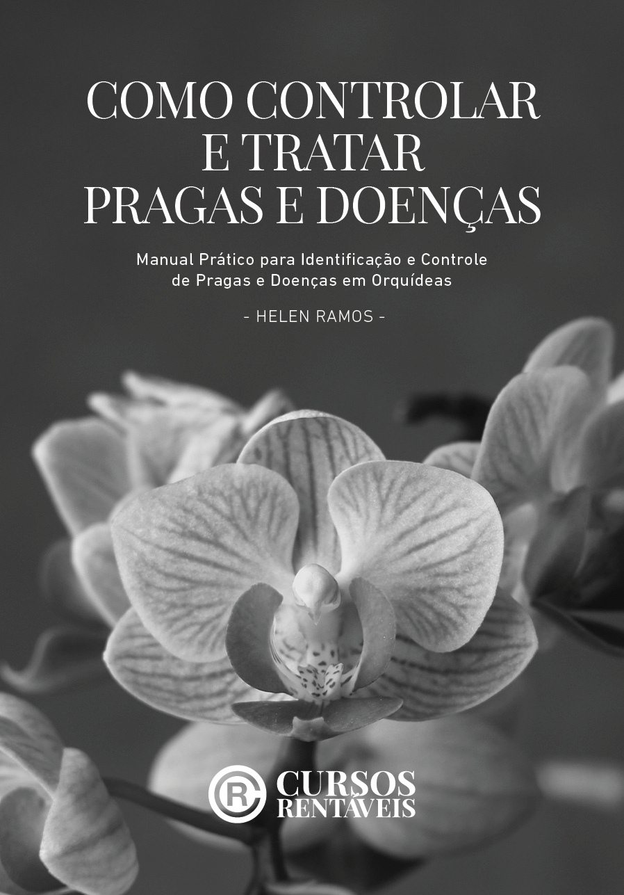 Kit Orquídeas com Sucesso - Imagem 2